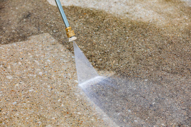 Best Pre-Holiday Cleaning  in Elkhart, IN